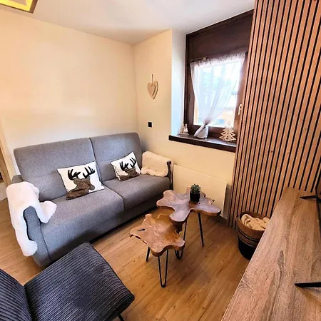 Apartment Le Nabor - 4 Personnes Plein Centre Mae-2641